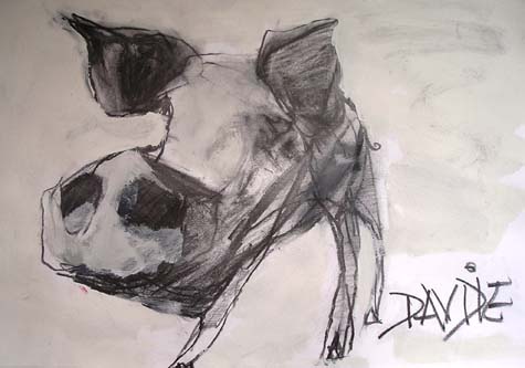 art gallery devon